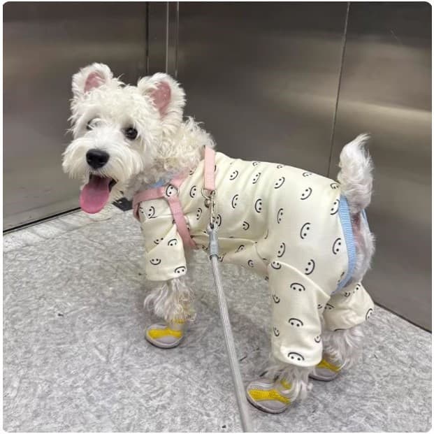 Roupas para cães de algodão puro 2025 novo estilo outono inverno Teddy Bichon pequenos cães de tamanho médio quente quat