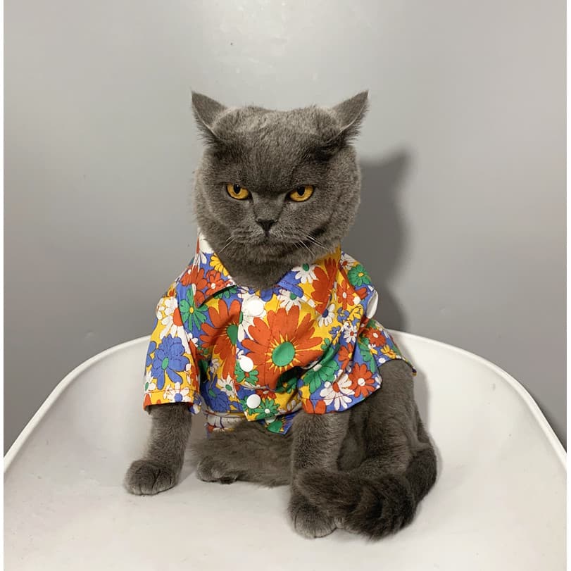 Gato de estimação Bichon pequeno filhote de cachorro roupas de gato verão estilo fino camisa Anti-pele girassol