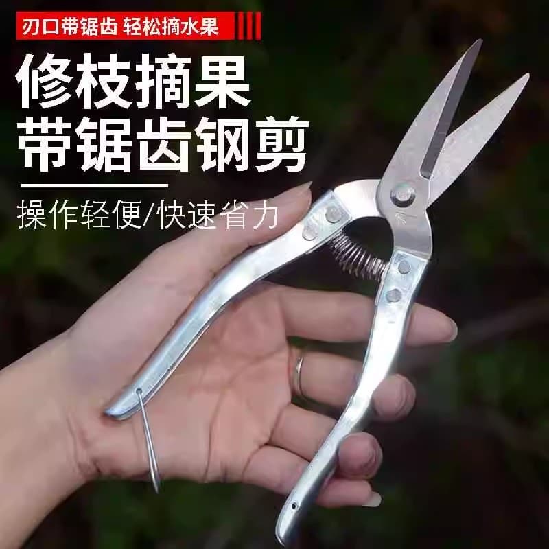 Luoding tesouras de jardinagem tesouras de poda pomar tesouras de colheita de frutas ramo tesouras de árvores frutíferas