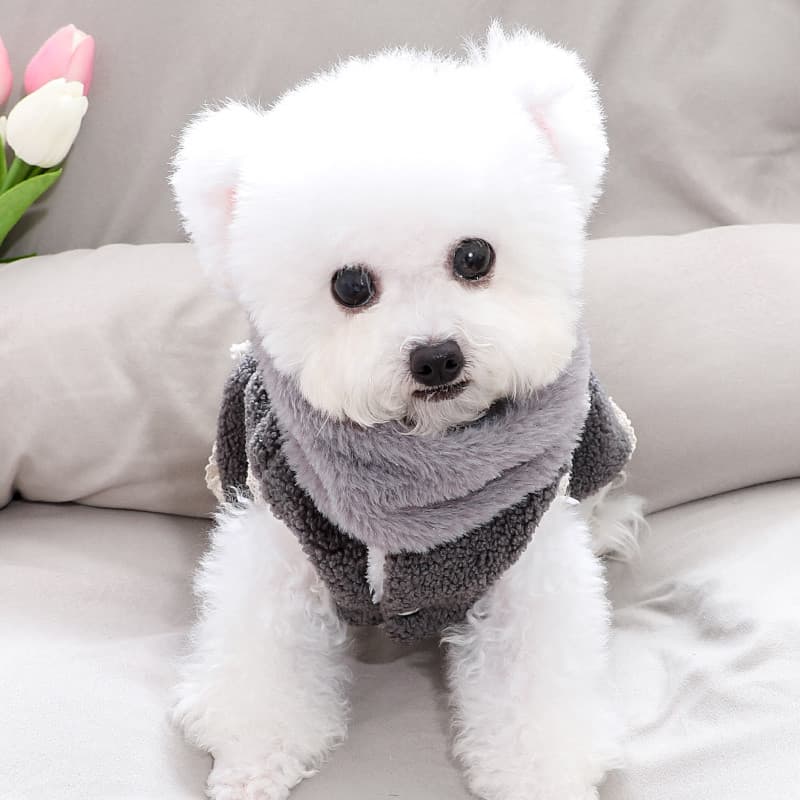 Três meses roupas para cães inverno pequeno corpo Bichon saia de alto valor girassol quente vestido de duas pernas