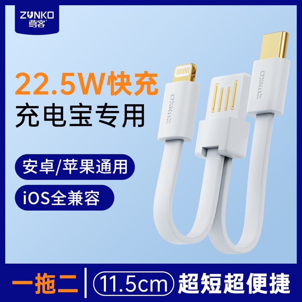 Carregador Turbo Tipo C Carregador Celular USB‑C Importado Fonte Carregamento Rápido USB‑C Zunke 22.5w banco de potência