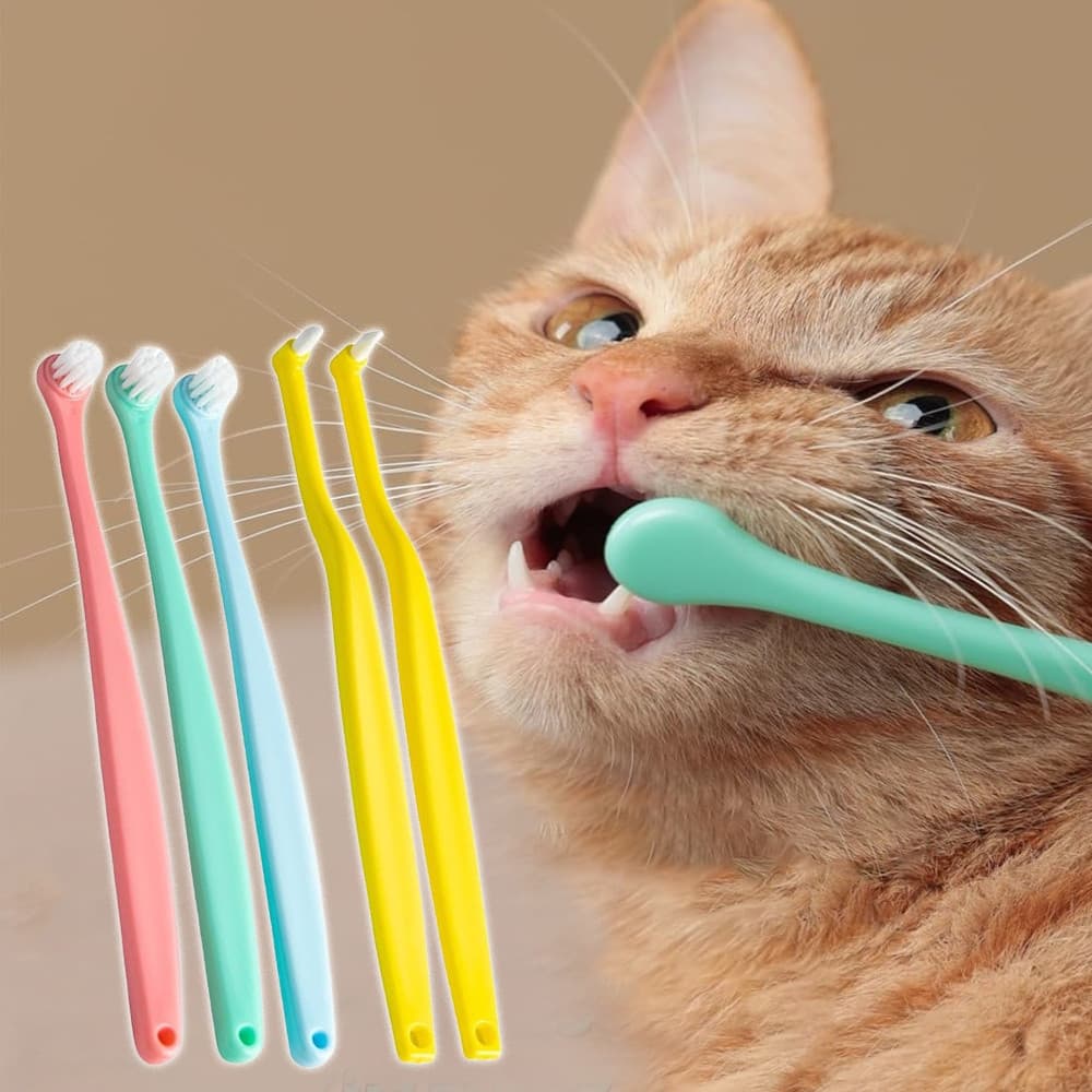 5pcs Escova de Dente para Gato, Escova de Dente para Cachorro Pequeno, Kit de Escovação de Dente com Cabeça Redonda e Po