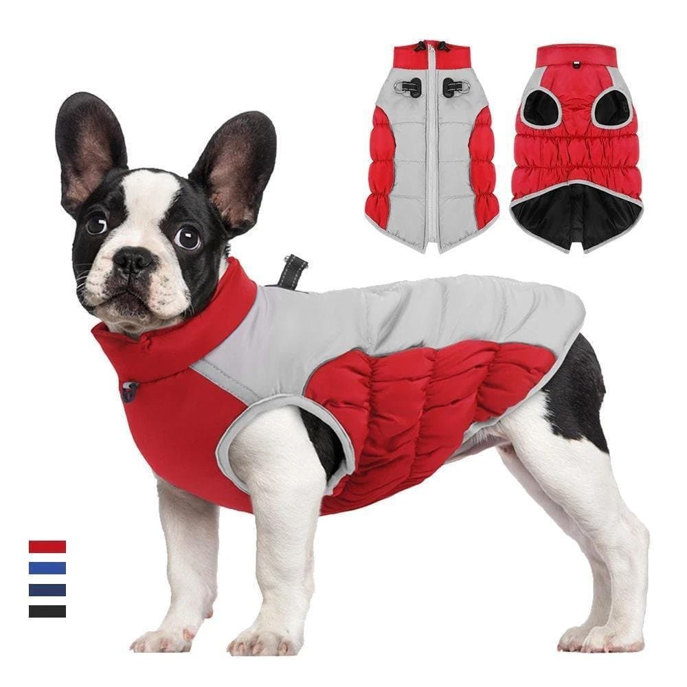 Roupas De Inverno Para Cães À Prova De Vento Algodão Animais De Estimação Chuva Grandes Casaco Reflexivo Geral Trela Do