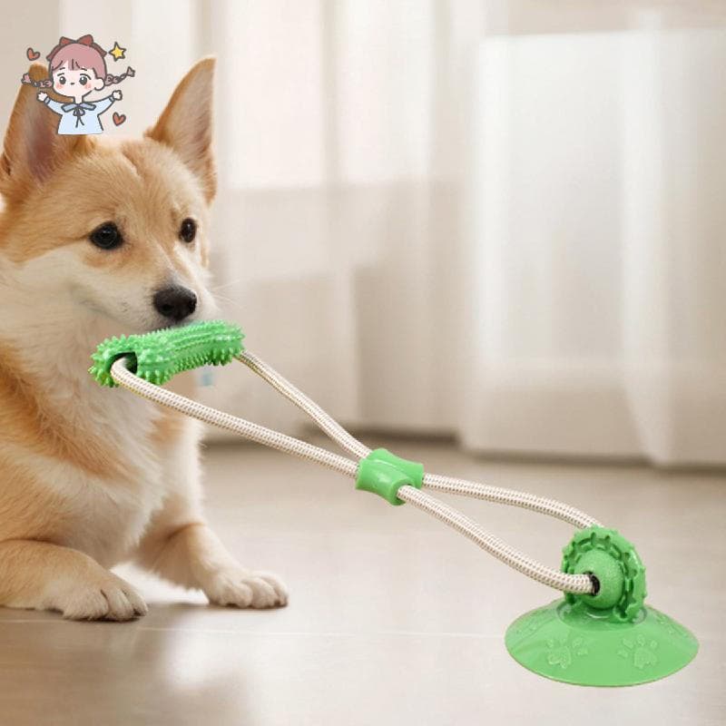 Brinquedo Interativo Do Rebocador Cão Da Ventosa , Mastigação Corda Tração Para O Alívio Dentição E Tédio