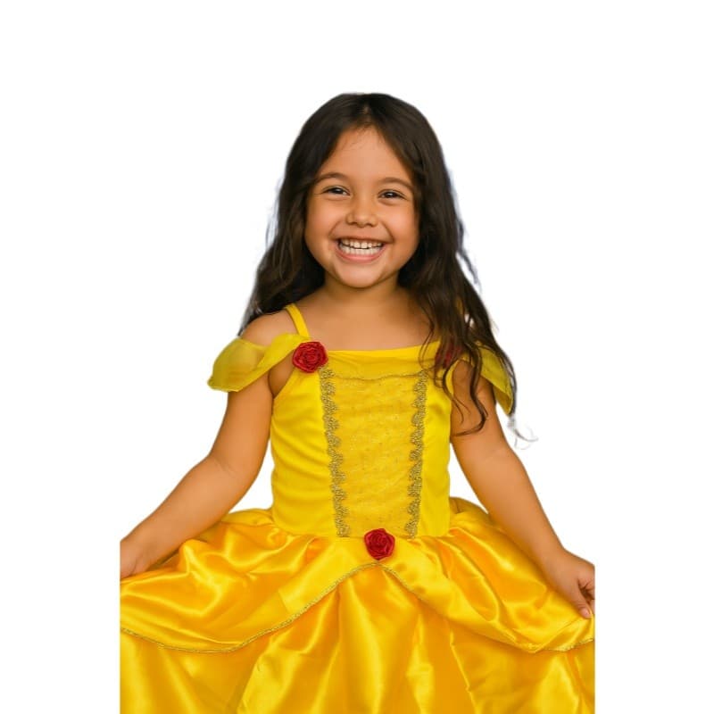 FANTASIA INFANTIL PRINCESA BELLA MENINAS ANIVERSARIO FESTAS CARNAVAL