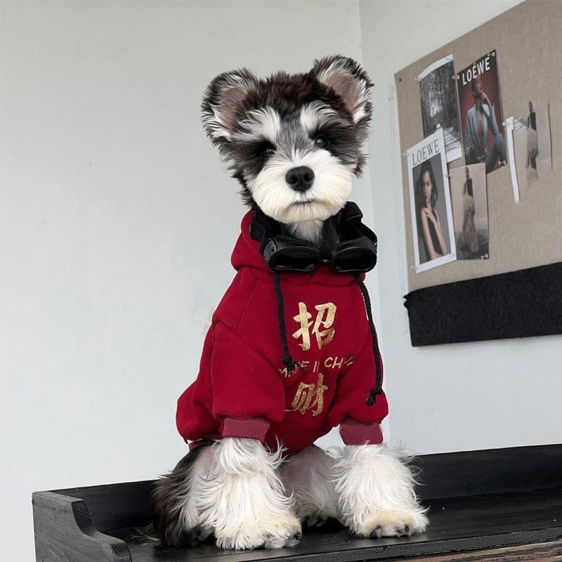 Roupas para cães roupas de inverno cães pequenos Schnauzer Teddy Pomeranian ano novo quente ano novo festivo forro de lã