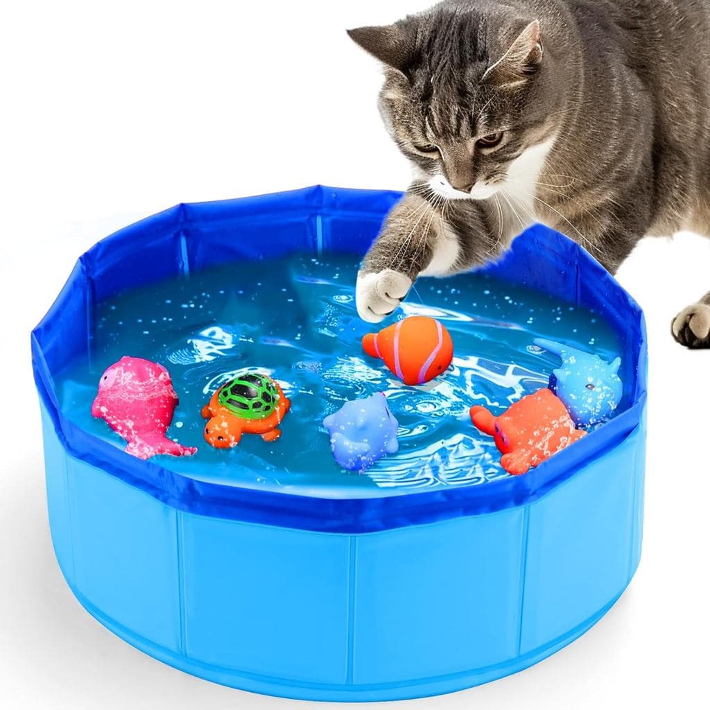 Brinquedo De Piscina Para Gatos BABORUI Com Brinquedos Água De Peixe , Portátil De , Aquáticos Internos Entediados Inter