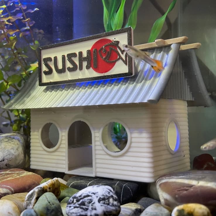 Esconderijo Casa de Shushi Toca Para Peixes Betta Camarão Aquário Aquarismo Decoração
