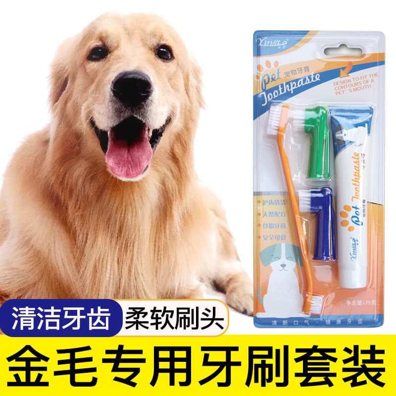 Golden Retriever escova de dentes dedicada para animais de estimação, berços de dedo, ferramentas para escovação de dent