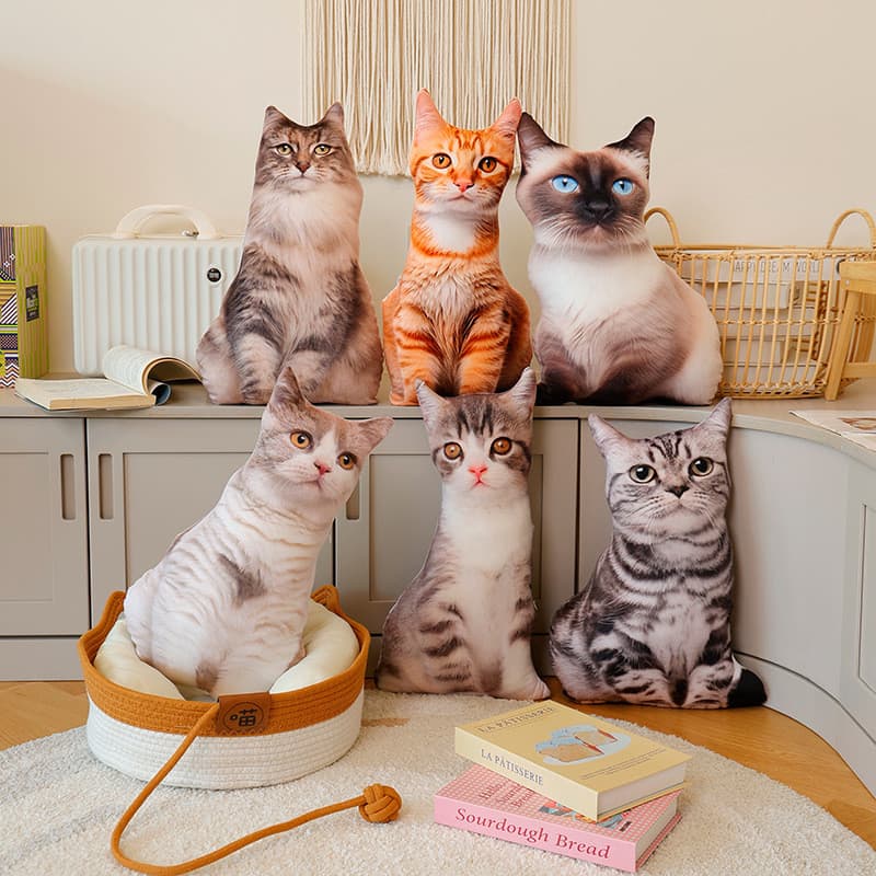 Simulação gato impressão travesseiro Zebra coala Animal Panda orangotango dormir boneca raposa Ragdoll presente