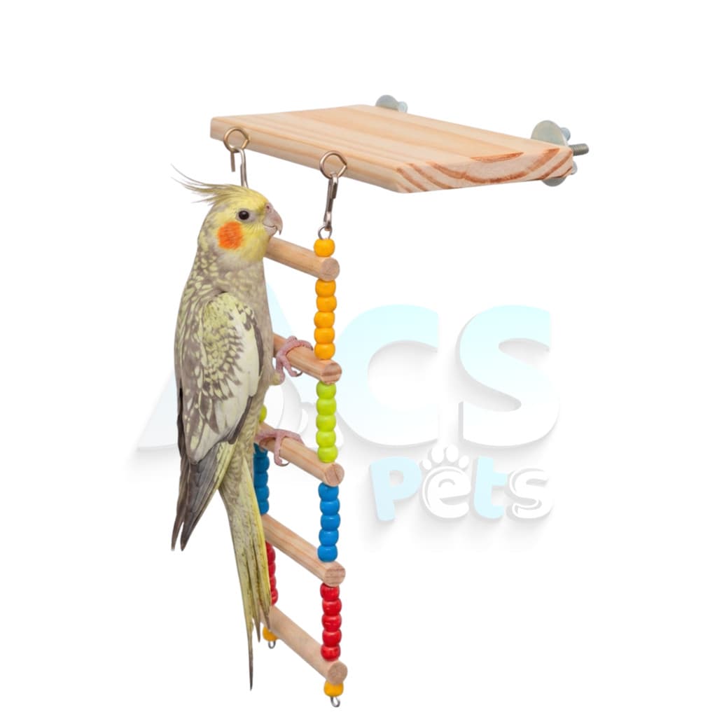 Kit Brinquido Plataforma Poleiro e Escadinha Para Calopsita Periquito Agapornis e outras aves