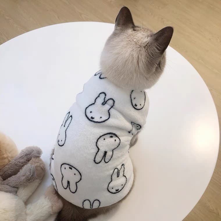 Influenciador roupas de gato outono Anti-fiapos de pelúcia inglês curto azul gato Muppets gatos cães pequenos animais de