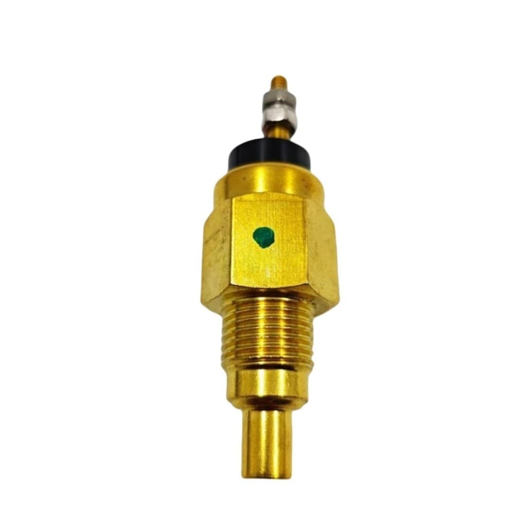 Sensor De Temperatura Da Água 4371318 Para Escavadeira 225CLC 220DW 180 800C 225DLC 450DLC 650DLC 210 850DLC 135C 190GW