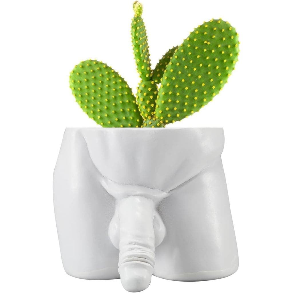 Vasos Divertidos para Suculentas em Forma de Pênis, Vasos de Plantas Únicos com Furos de Drenagem, Vasos Criativos como