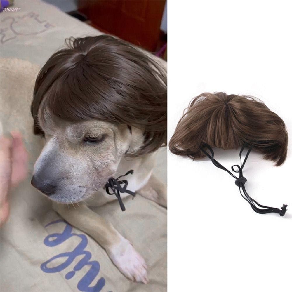 Peruca para Animais de Estimação ADAMES, Acessórios de Cosplay para Halloween e Natal, Penteado Engraçado para Cães e Ga