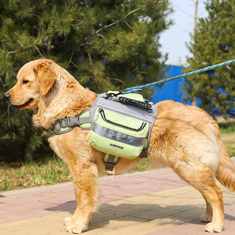 Cão mochila Pet grande cão Golden Retriever Samoyed borda pastor médio grande cão passeio andando saco de transporte por