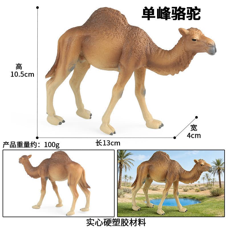 Modelo Realista de Animal Infantil Camelo Sólido Camelo do Deserto Camelo com Corcunda Simples e Dupla Brinquedo Educaci