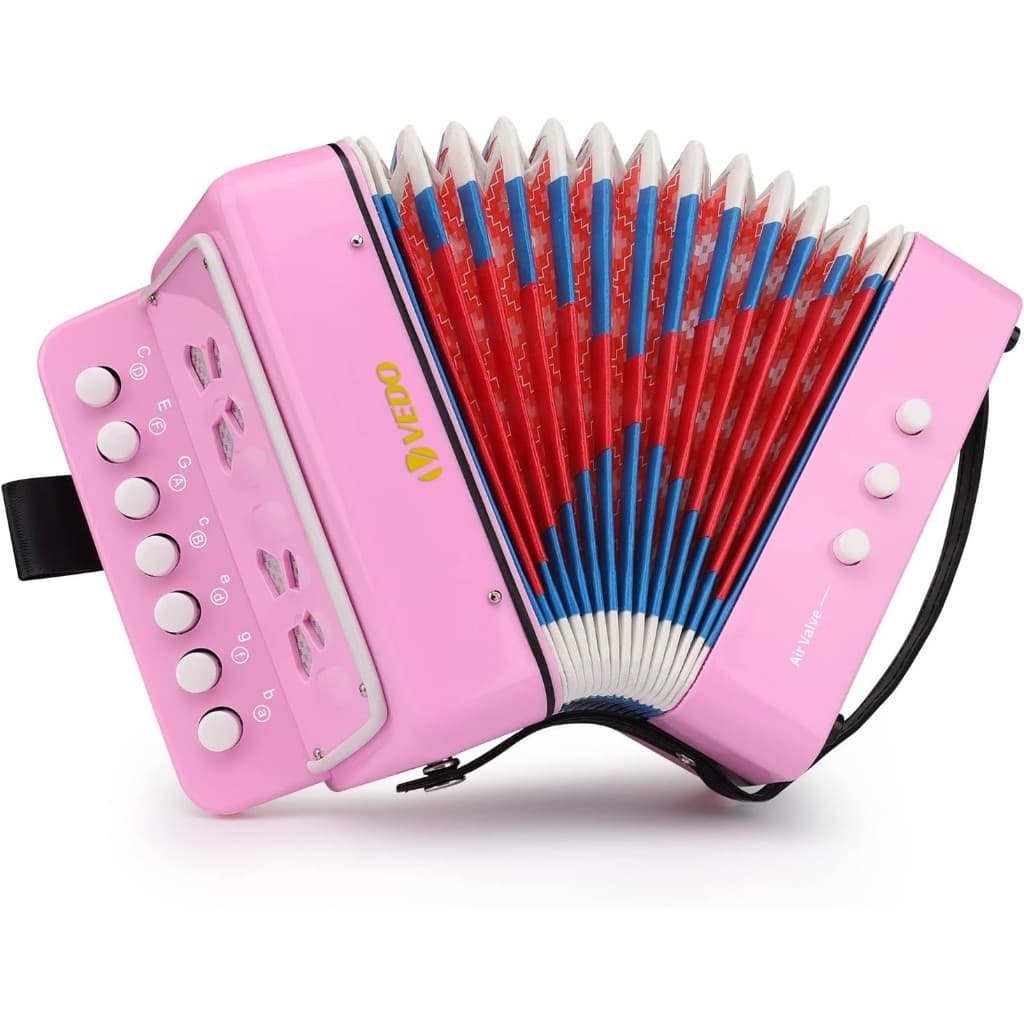 Acordeão infantil, mini acordeão de brinquedo com 10 teclas, presente ideal para crianças; fácil de tocar, instrumento