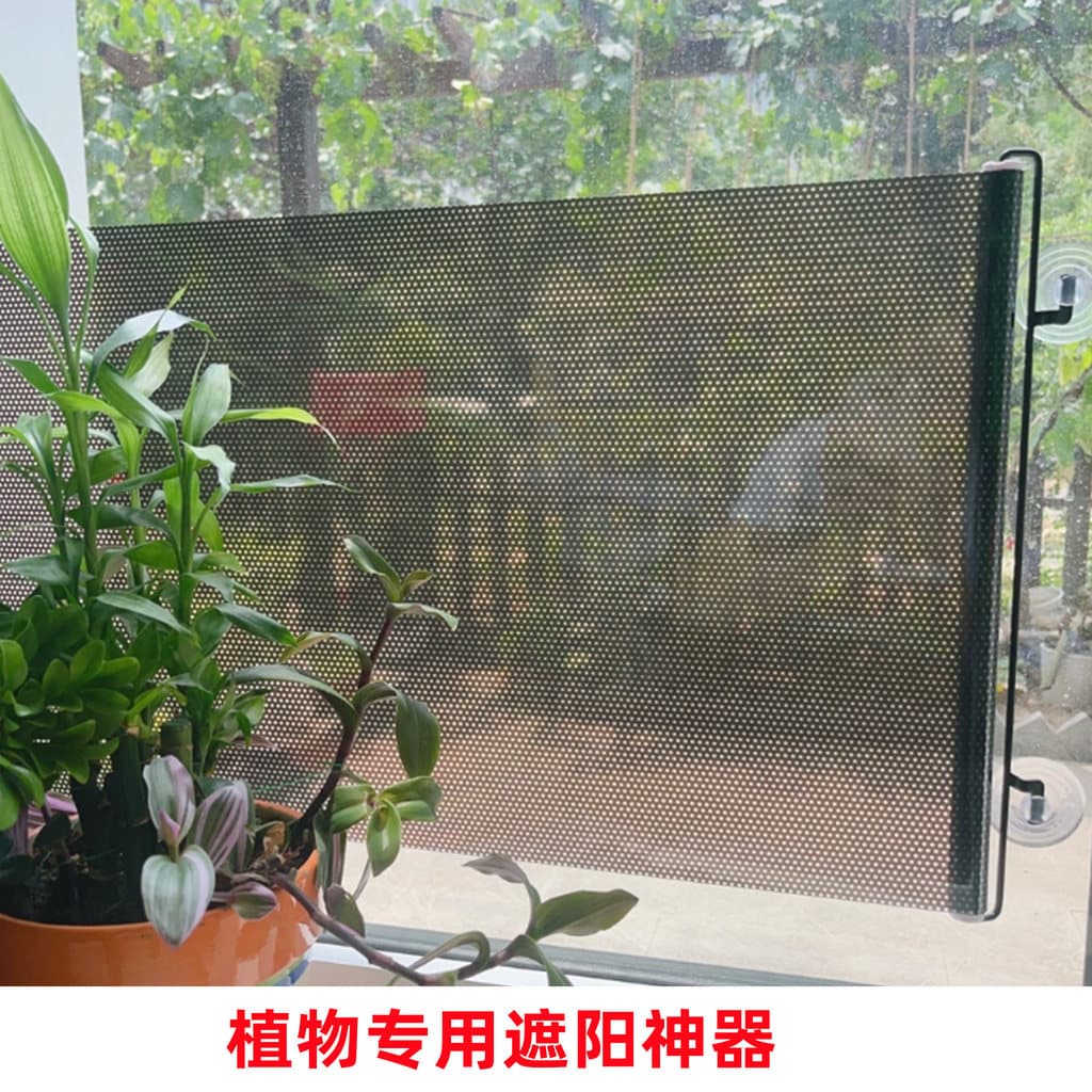 Planta pára-sol ferramenta útil protetor solar cortina de isolamento térmico especial para flores suculenta pára-sol var
