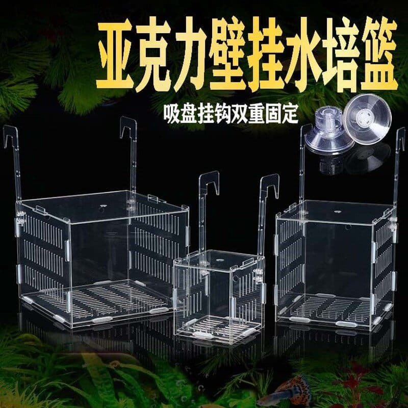 Suporte de planta hidropônica para tanque de peixes, utensílios hidropônicos de parede, cesta fixa para plantas, vaso de