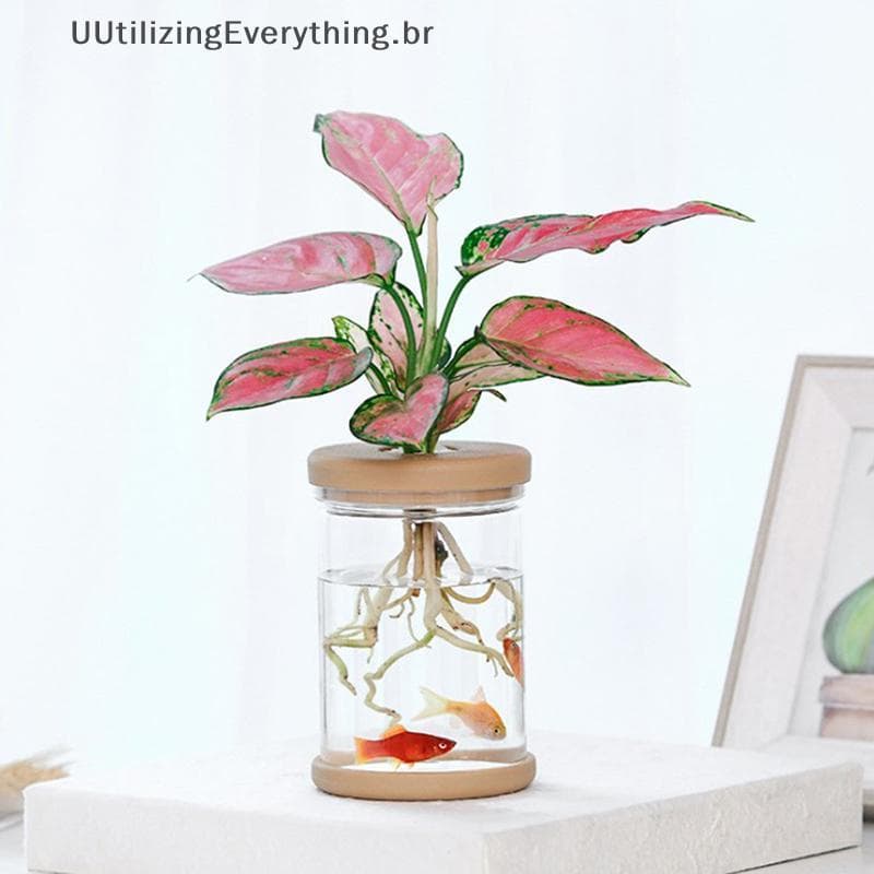 UUTIL Vaso De Flores Transparente Hidropônico Com Absorção Automática De Água De Plástico