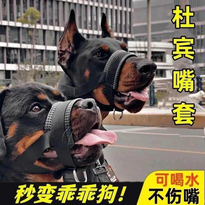 Cão Anti-mordida boca capa Doberman cão Rowina máscara cão andando trela equipamento de treinamento pastor alemão cão gr