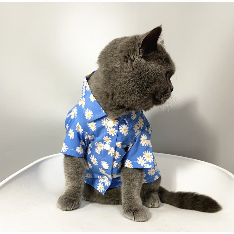 Roupas de gato da moda verão estilo fino Anti-derramamento cão de estimação respirável camisa fina roupas de gato pequen