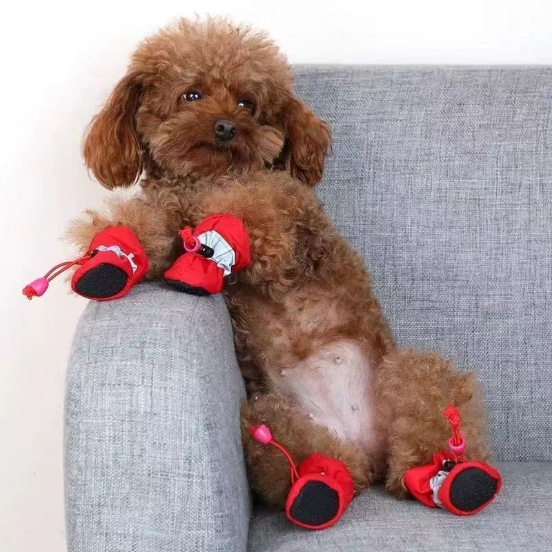 2025 novo estilo sapatos para cães pequenos Pet Teddy respirável não-queda pés velo quente sapato capa pé sola macia pas