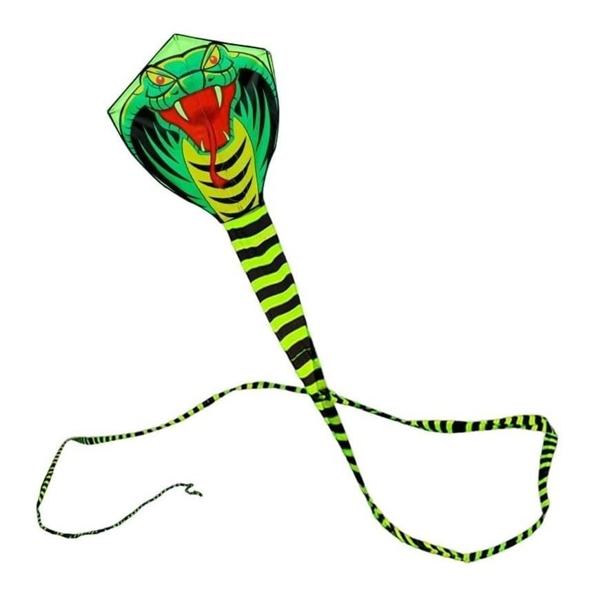 Pipa 3d Em Poliester Formato Cobra
