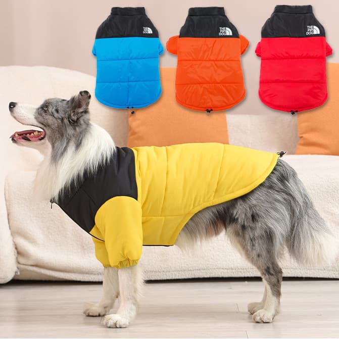 Jaqueta Impermeável Para Cachorro De Inverno Roupas De Algodão Médios E Grandes Casaco Labrador