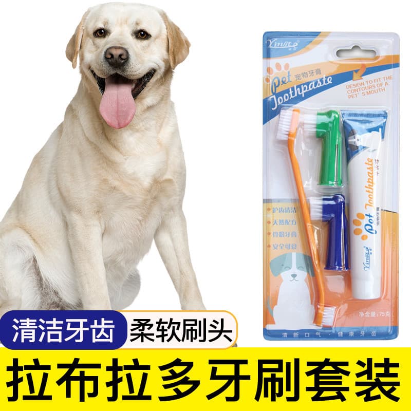 Labrador escova de dentes especial para animais de estimação conjunto de pasta de dente ferramentas de escova de dentes