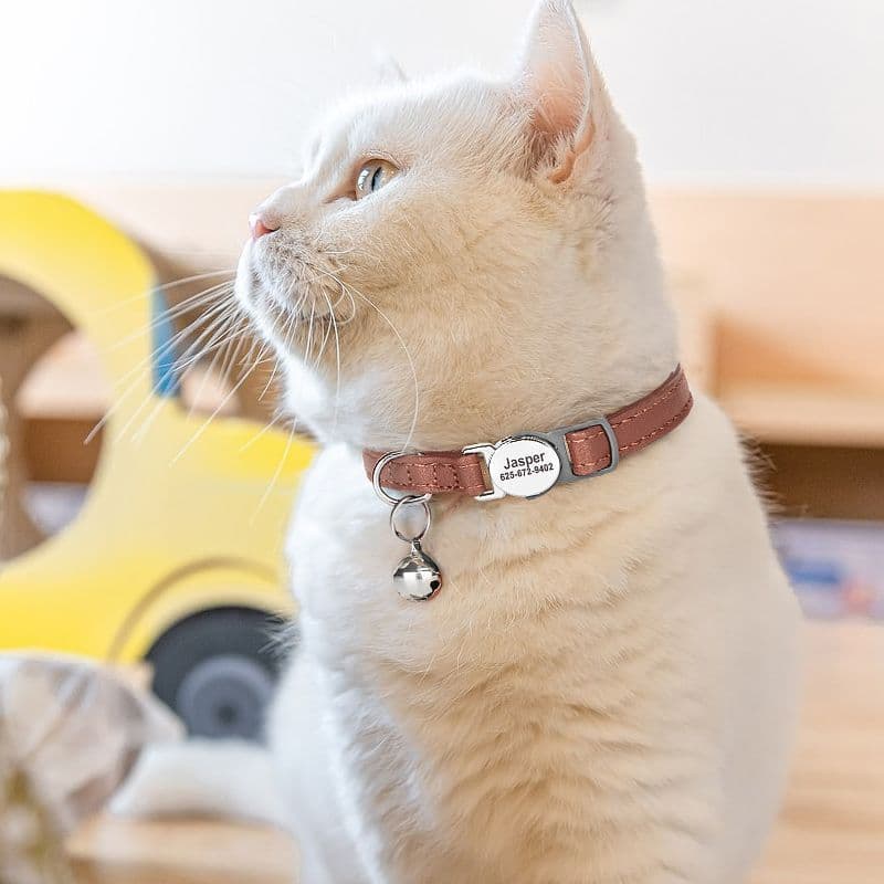 Coleira para cachorro e gato com letras anti-perda, coleira para cachorro pequeno, filhotes, gatinhos, sinos anti-sufoca