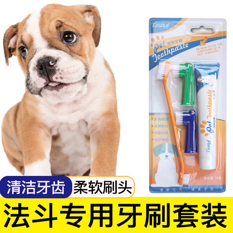 Bulldog francês escova de dentes para animais de estimação conjunto de pasta de dentes ferramentas de escova de dentes s