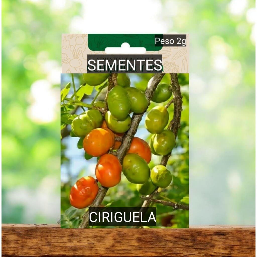 Sementes de Ciriguela  fruta deliciosa plante em vaso Jardim horta OFERTA