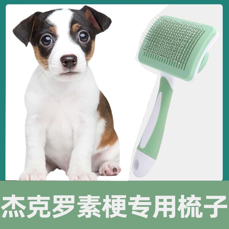 Jack Russell Terrier pente escovado agulha pente de cabelo do cão escova grande pequeno cão limpador de pêlos suprimento