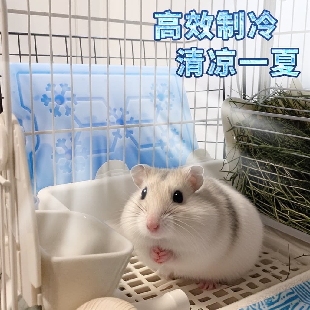 Placa de gelo resfriamento Hamster dedicado refrigeração caixa de cristal de gelo azul gelo tijolo ar condicionado sala