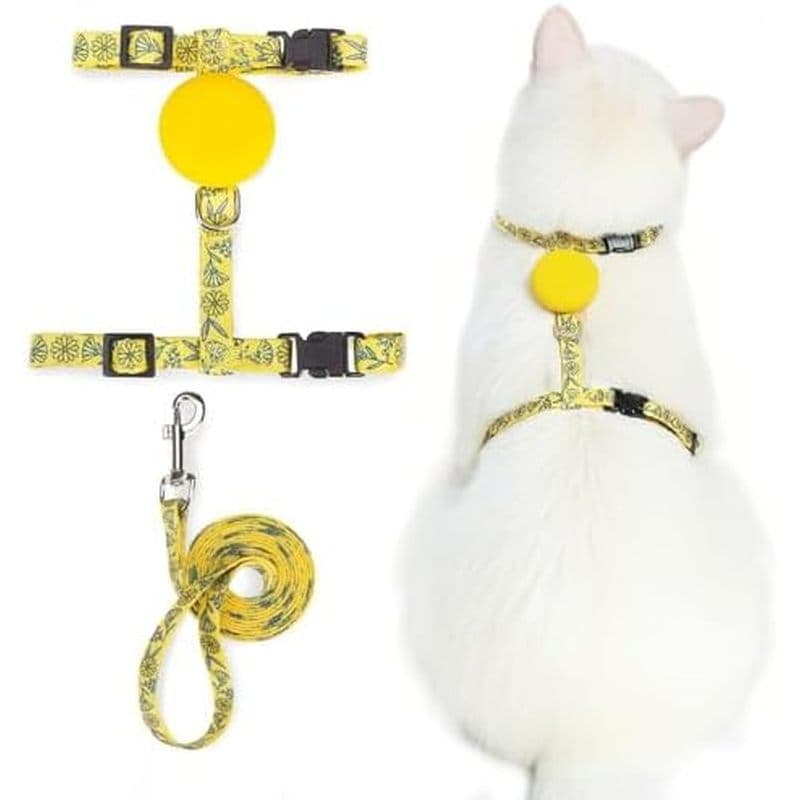 Conjunto De Arnês E Trela Ajustável Para Gatos PUPTECK Coleira Gatinhos À Prova De Fuga Viagens De Caminhada , Laranja