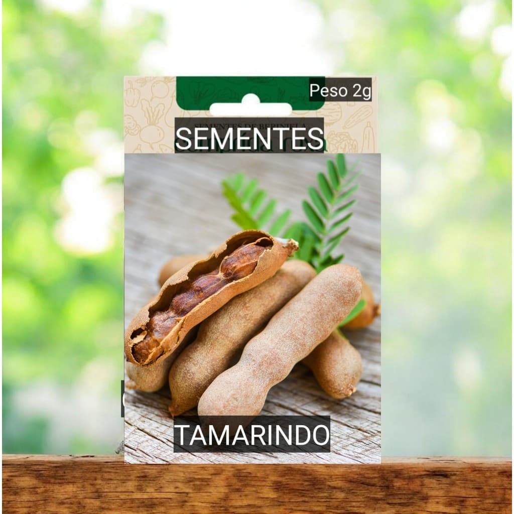 kit SEMENTES TAMARINDO para Vasos jardim anão #3