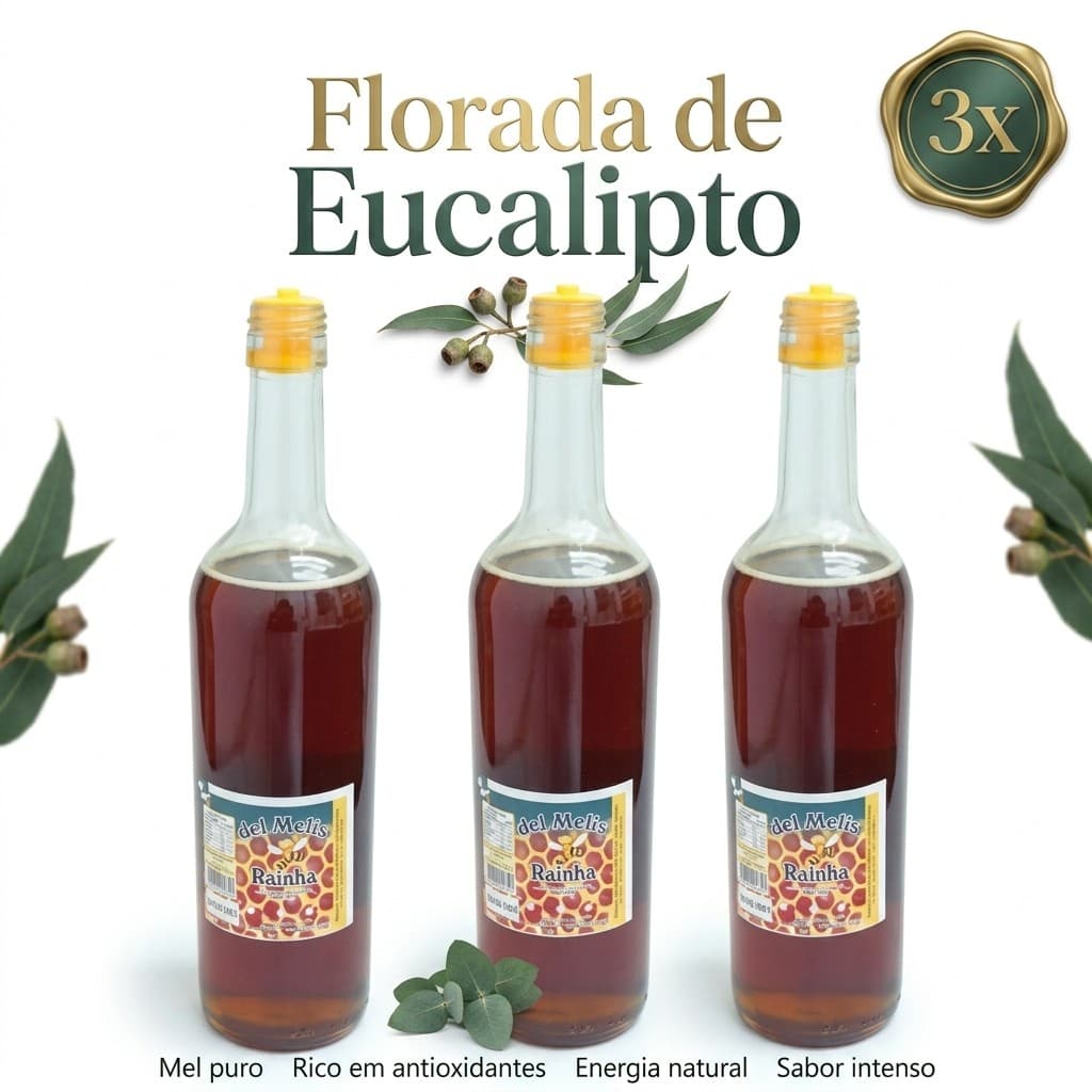 Mel de Eucalipto  100% Puro Abelha Rainha 900ml – Garrafa de Vidro – MG