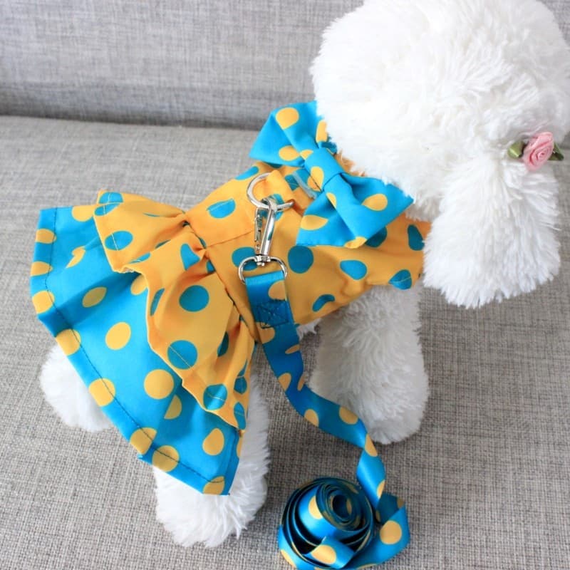 Pet Bichon Teddy gato roupas para cães primavera verão roupas finas princesa saia pequena trela do cão roupas