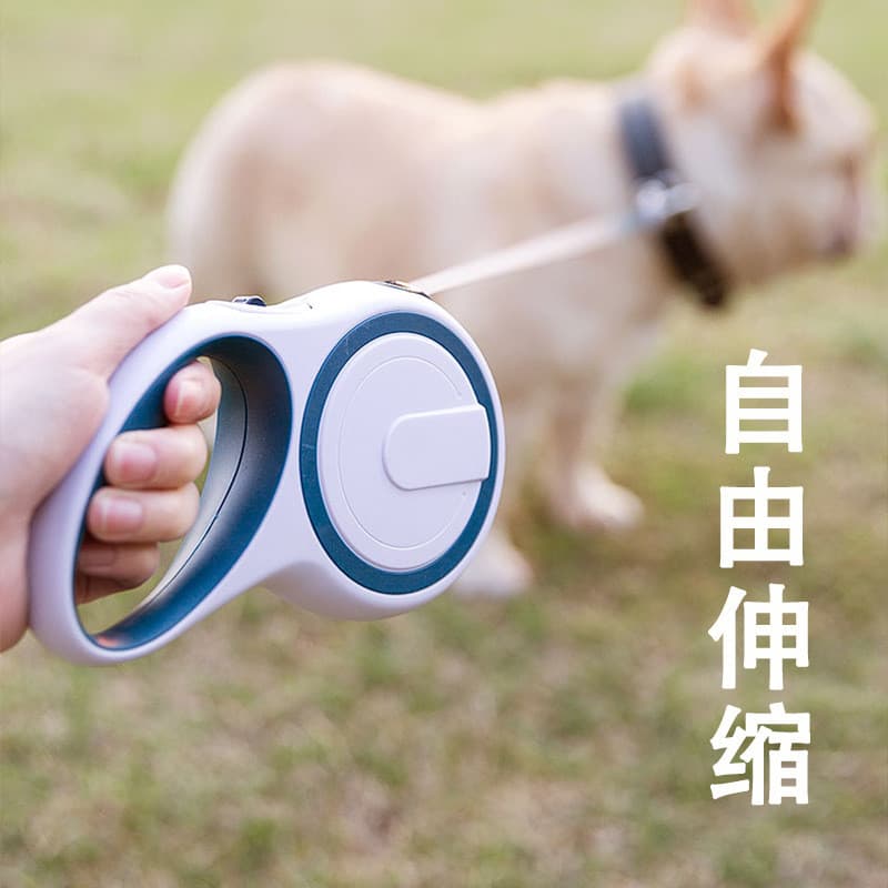 Coleira Retrátil Automática para Cães, Corda para Passeio, Corrente para Cães de Médio e Pequeno Porte, Teddy, Corgi, Po