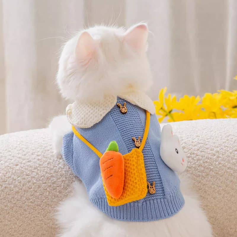 Gato de estimação roupas para cães Anti-fiapos outono inverno camisola de malha Muppets gato prata gradiente azul gato i