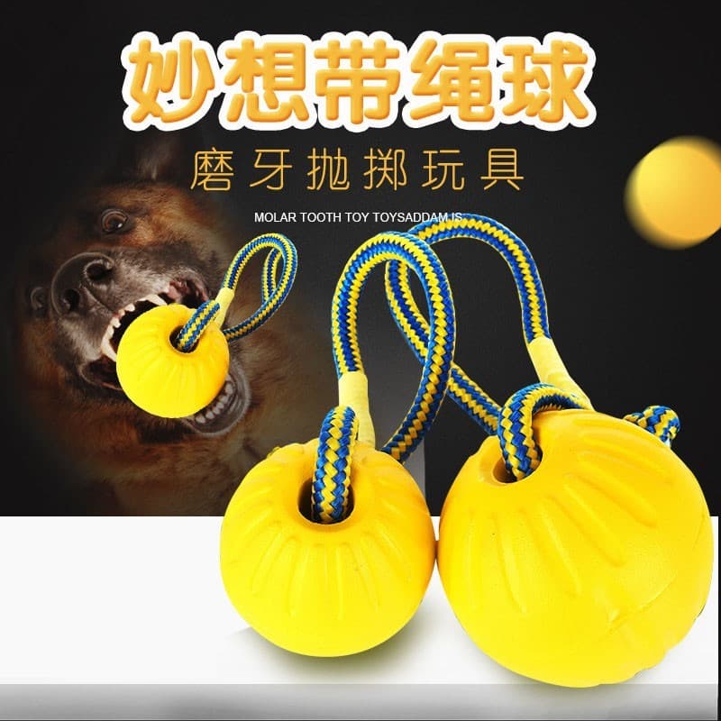 Bola de brinquedo para cachorro, resistente à mordida, Silicone, Frisbee, treinamento interativo para mordida de Molar,