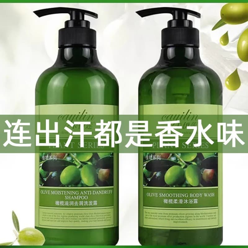 Lavar o cabelo oliva Shampoo controle de óleo fofo anti-caspa anti-coceira marca genuína oficial loja principal essência