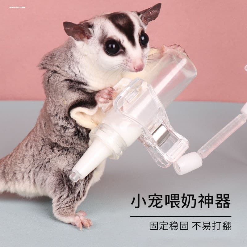 Esquilo filhote ferramenta de amamentação garrafa de bebê planador de mel clipe de garrafa de bebê pequeno animal de est