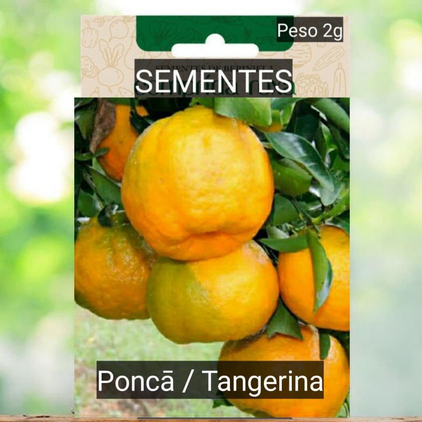 kit Sementes POKAN / TANGERINA  plante VASO HORTA terra adubo OFERTA