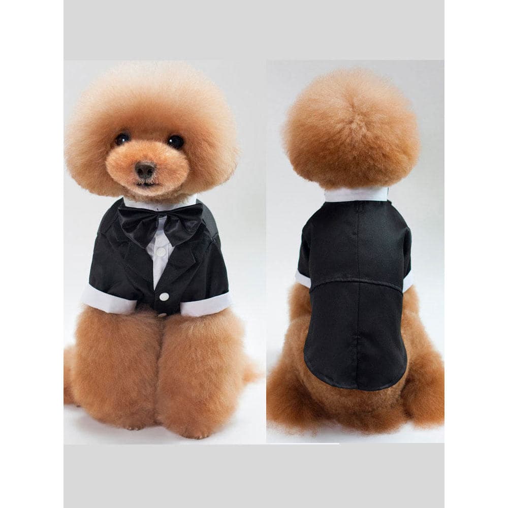 Vestido de casamento para cachorro pequeno, colete com gravata borboleta, roupas bonitas para gatos e gatos, jaqueta de