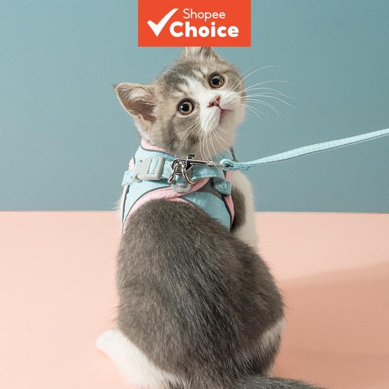 Conjunto de Peitoral e Guia Refletivo para Animais, Colete Antiescape para Cães Pequenos e Gatos, Equipamento para