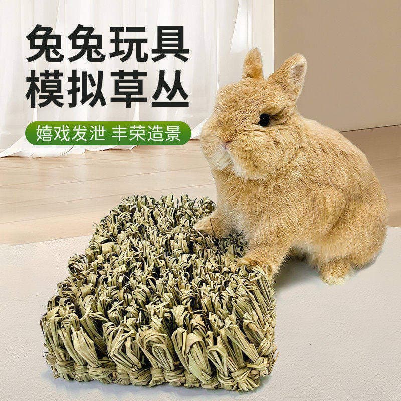 Coelho brinquedos para aliviar o tédio mesmo estilo no japão Kawai palha grama comestível meu vizinho Totoro cobaia Mola
