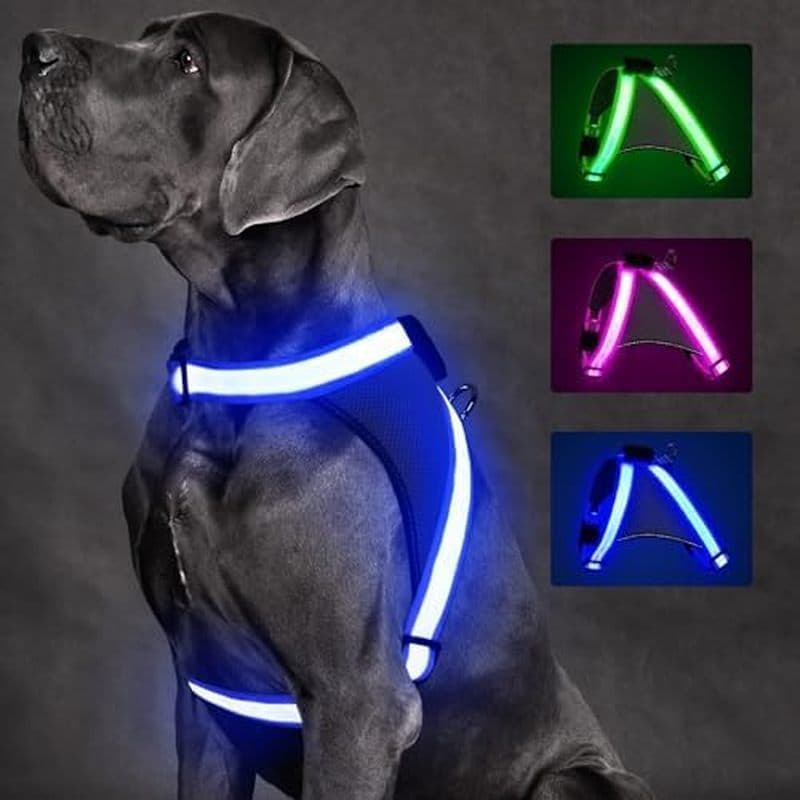 Arnês Para Cães ChalkLit Light Up , Sem Puxar Que Brilha No Escuro Caminhadas Noturnas , Colete De Segurança Iluminado R